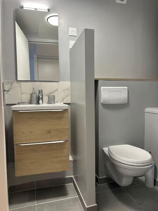 Appartement New Cosy House 15 Min Paris Roissy Cdg & 6 Min Parc Asterix I Villepinte